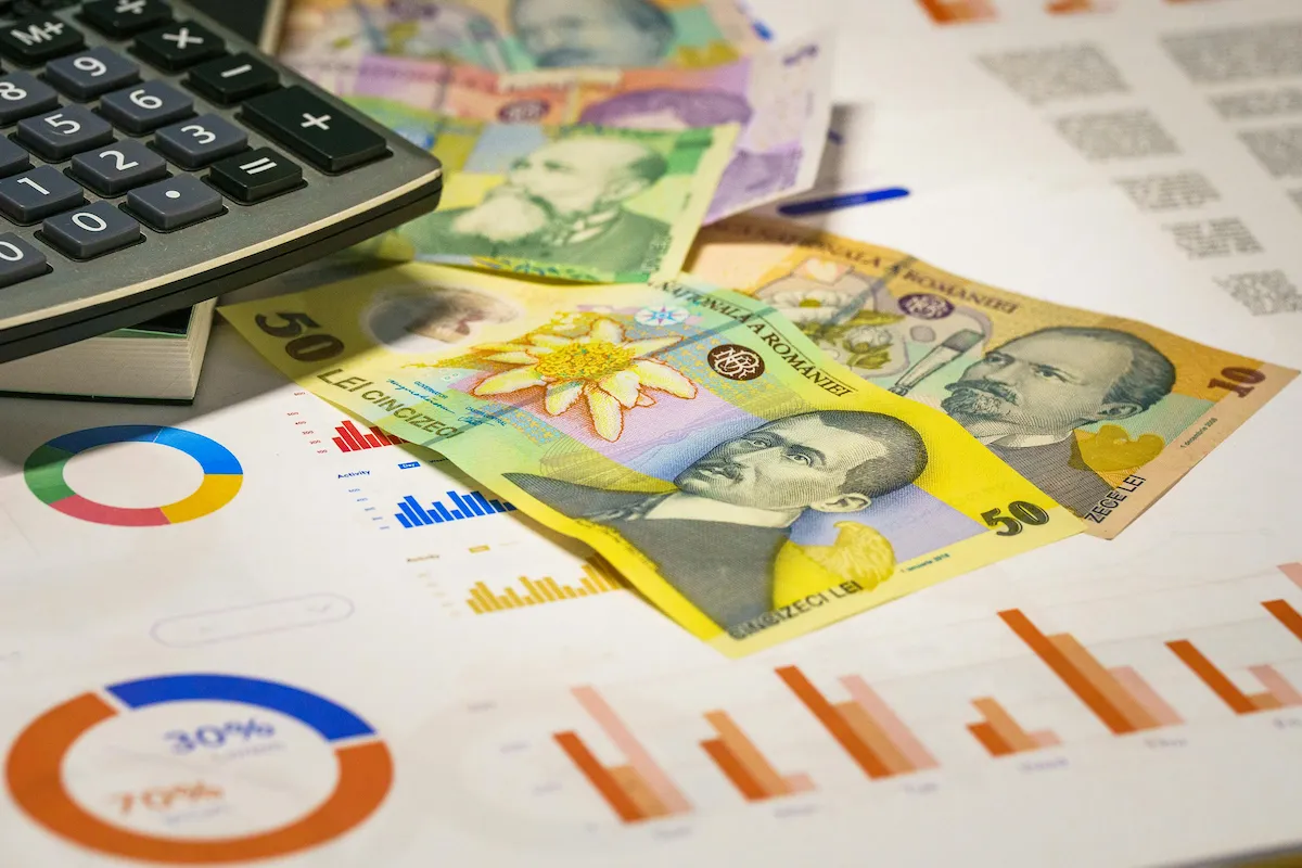 Ruleta rusească și băieții deștepți: Cum a pariat clasa politică economia României